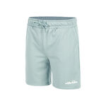 Vêtements Ellesse Ellesse Molla Shorts Hommes-Sauge