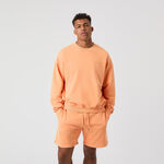 Vêtements Björn Borg Björn Borg Borg Oversized Washed Sweat-shirt Hommes-Orange