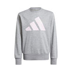 V&ecirc;tements adidas adidas Essentials Sweat-shirt Enfants-Gris,Blanc