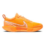 Chaussures De Tennis Nike Zoom Court Pro AC