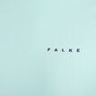 Falke