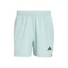 D4T Essentials 7Inch Shorts Hommes-mint