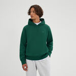 Vêtements Ellesse Ellesse Madone Sweat à capuche Hommes-vert foncé