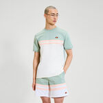 Vêtements Ellesse Ellesse Atrei T-shirt Hommes-Sauge, Blanc