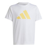 Vêtements adidas Train Essentials AEROREADY Logo Regular-Fit T-Shirt