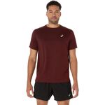 Vêtements ASICS Core Shortsleeve