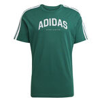 Vêtements adidas adidas Graphic T-shirt Hommes - vert, blanc