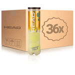 Balle de tennis HEAD HEAD No.1  Tube de 4 