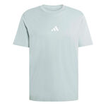 V&ecirc;tements adidas adidas Essentials T-shirt Hommes-sauge