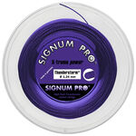Signum Pro Signum Pro Thunderstorm Violett Bobine Cordage 120m-Violet