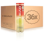 Balle de tennis HEAD HEAD Championship Tube De 4