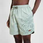 Vêtements Ellesse Ellesse Vaycay Shorts Hommes-Sauge