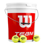 Balles de tennis Wilson Wilson Team W Trainer 72 Tennisbälle im Eimer