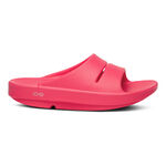 Chaussures de running OOFOS OOFOS Ooahh Chaussure de r&eacute;cup&eacute;ration Femmes - pink