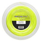 Cordages De Tennis Signum Pro POLARIS 200m