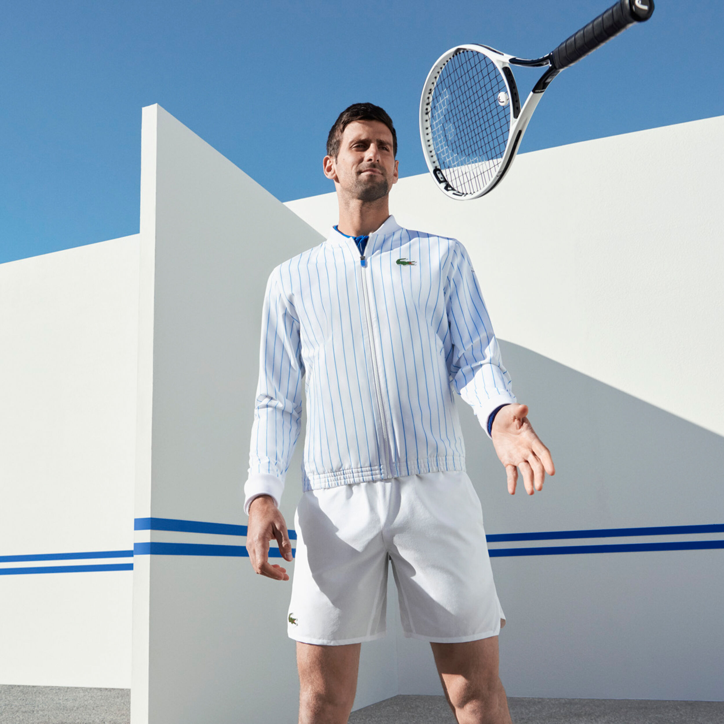 lacoste djoko