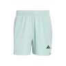 D4T Essentials Shorts Hommes-mint
