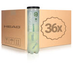 Balle de tennis HEAD HEAD Gravity Tube De 4 Edition Sp&eacute;ciale