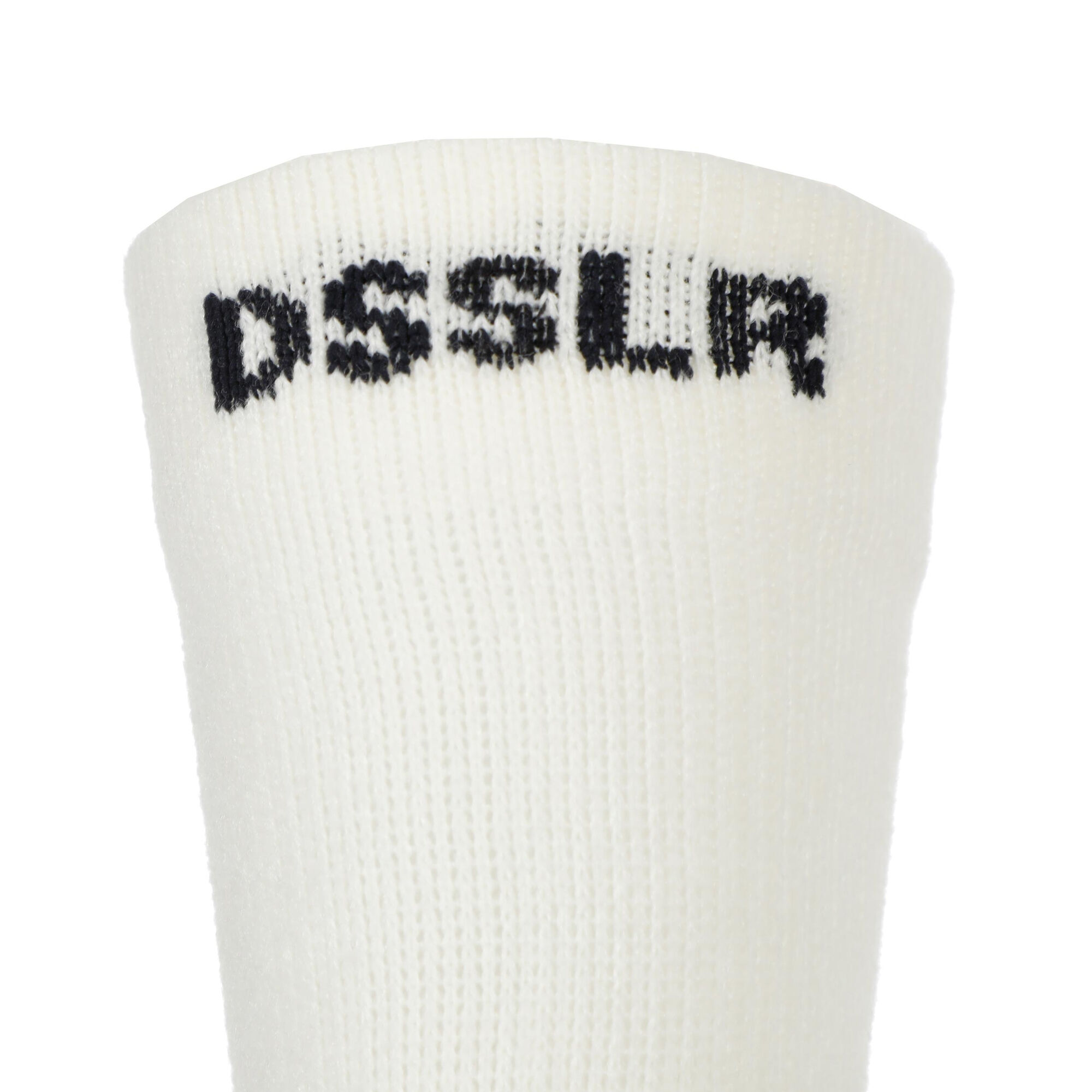 DSSLR
