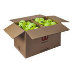 Balles de tennis Wilson Wilson Triniti Club Box De 72 Balles
