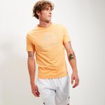 Vêtements Ellesse Blakeney Tee