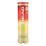 Balles de tennis HEAD HEAD Championship Tube De 4
