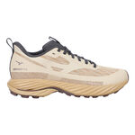 Chaussures de running Mizuno Mizuno Wave Rider TT 3                 Chaussure trail Femmes-beige, beige