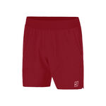 Vêtements Nike M Nkct Df Advtg 6In Short